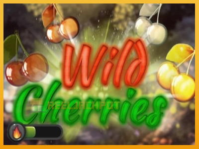 Wild Cherries 진짜 돈을 위한 슬롯머신