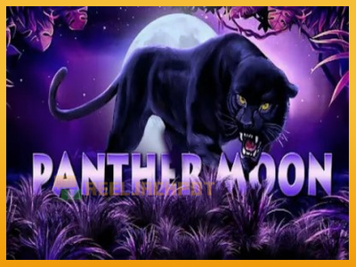 Panther Moon 진짜 돈을 위한 슬롯머신