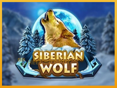 Siberian Wolf 진짜 돈을 위한 슬롯머신