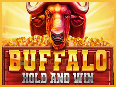 Buffalo Hold and Win Extreme 진짜 돈을 위한 슬롯머신