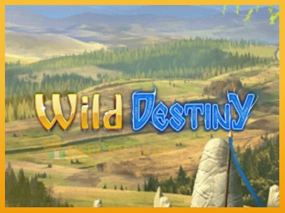 Wild Destiny 진짜 돈을 위한 슬롯머신