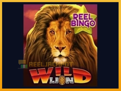 Wild Lion with Reel Bingo 진짜 돈을 위한 슬롯머신