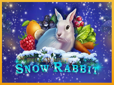 Snow Rabbit 진짜 돈을 위한 슬롯머신