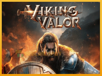 Viking Valor 진짜 돈을 위한 슬롯머신