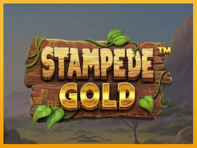 Stampede Gold 진짜 돈을 위한 슬롯머신