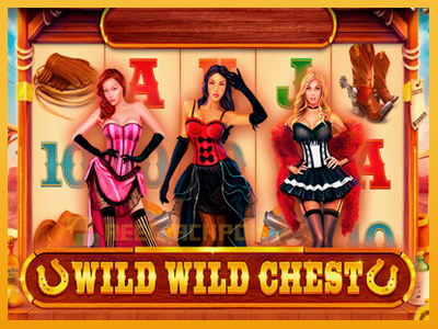 Wild Wild Chest 진짜 돈을 위한 슬롯머신