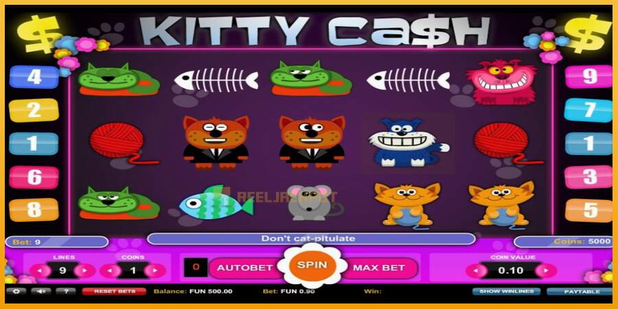 슬롯머신에서의 진정한 즐거움 Kitty Cash 돈을 위해, 그림 1