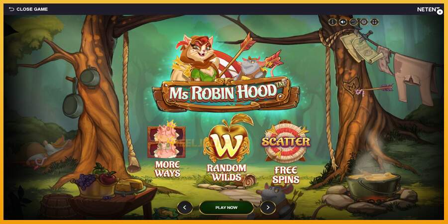 슬롯머신에서의 진정한 즐거움 Ms Robin Hood 돈을 위해, 그림 1