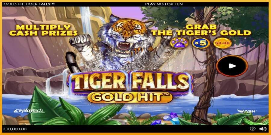 슬롯머신에서의 진정한 즐거움 Gold Hit: Tiger Falls 돈을 위해, 그림 1