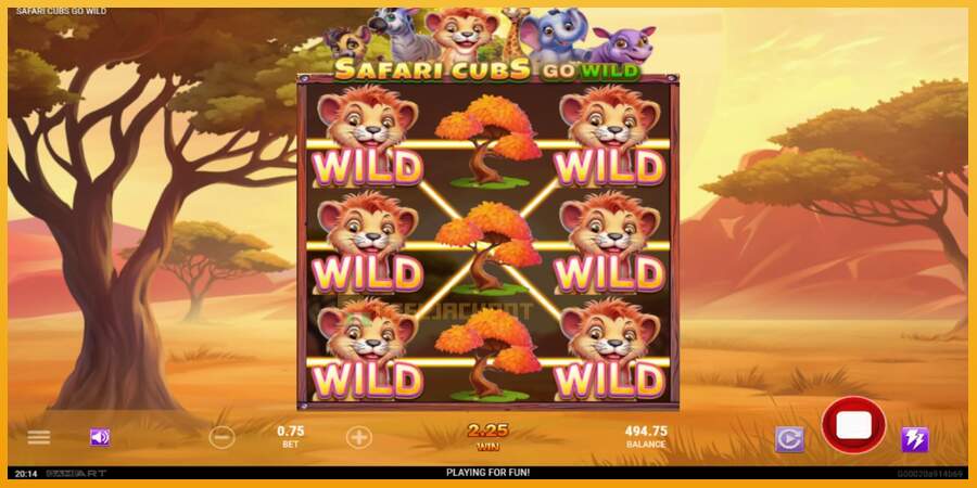 슬롯머신에서의 진정한 즐거움 Safari Cubs Go Wild 돈을 위해, 그림 3