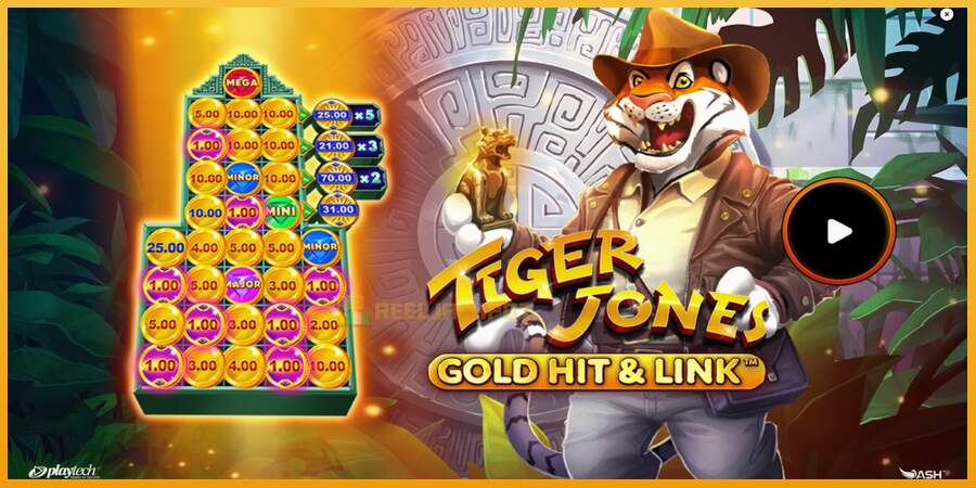 슬롯머신에서의 진정한 즐거움 Gold Hit & Link: Tiger Jones 돈을 위해, 그림 1