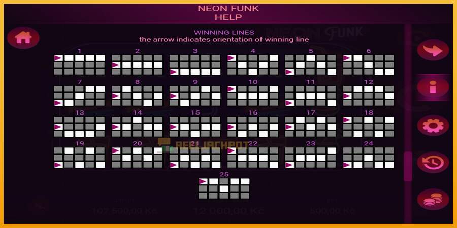 슬롯머신에서의 진정한 즐거움 Neon Funk 돈을 위해, 그림 6