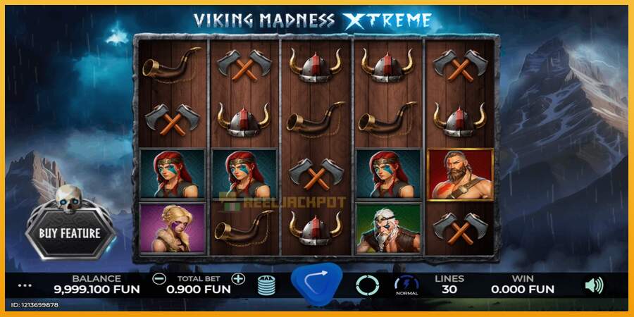 슬롯머신에서의 진정한 즐거움 Viking Madness Xtreme 돈을 위해, 그림 1