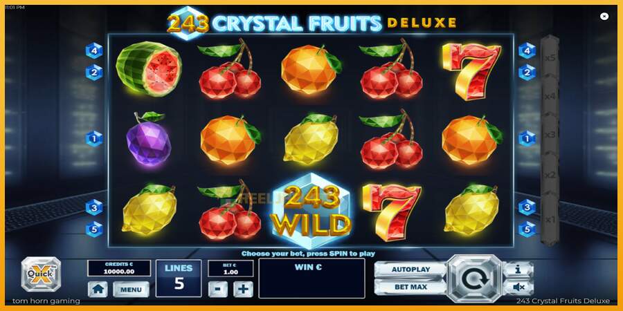 슬롯머신에서의 진정한 즐거움 243 Crystal Fruits Deluxe 돈을 위해, 그림 2